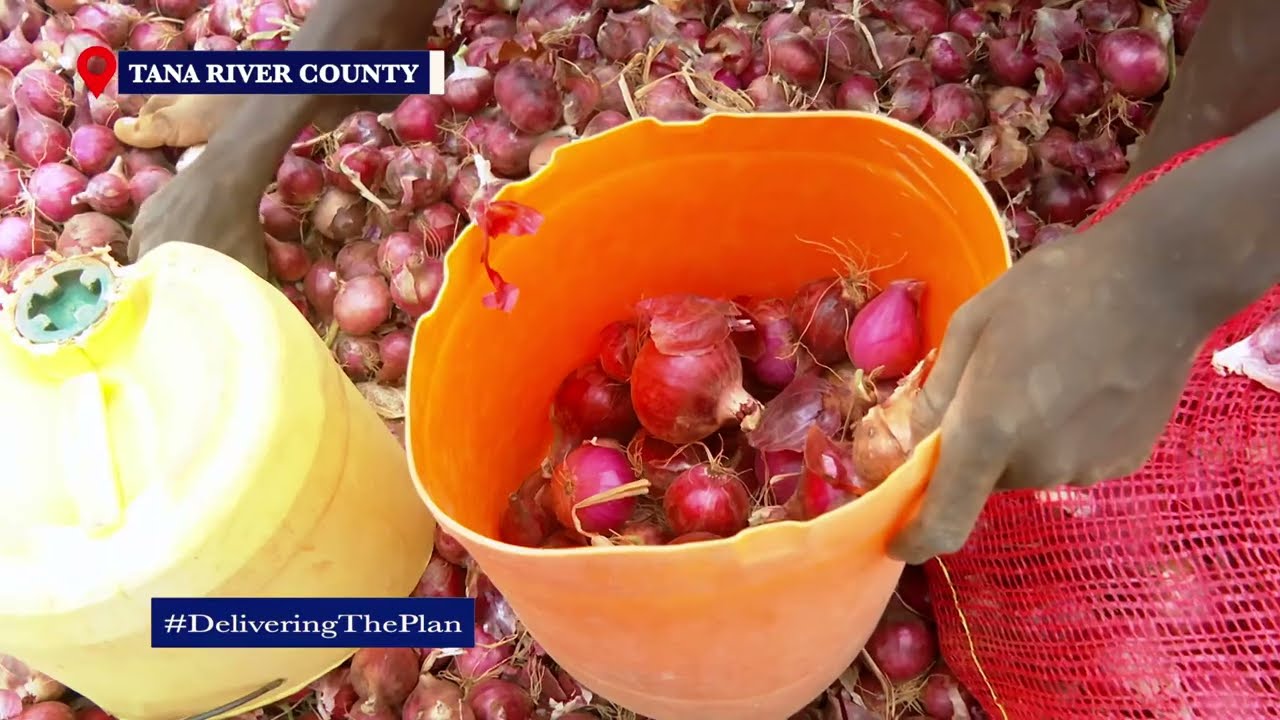 Delivering The Plan: Bura Irrigation Scheme, Tana River County
