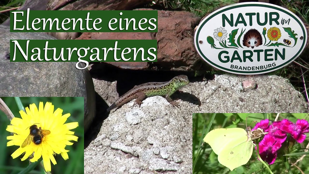 Elemente eines Naturgartens | Was ist wichtig für einen naturnahen Garten?