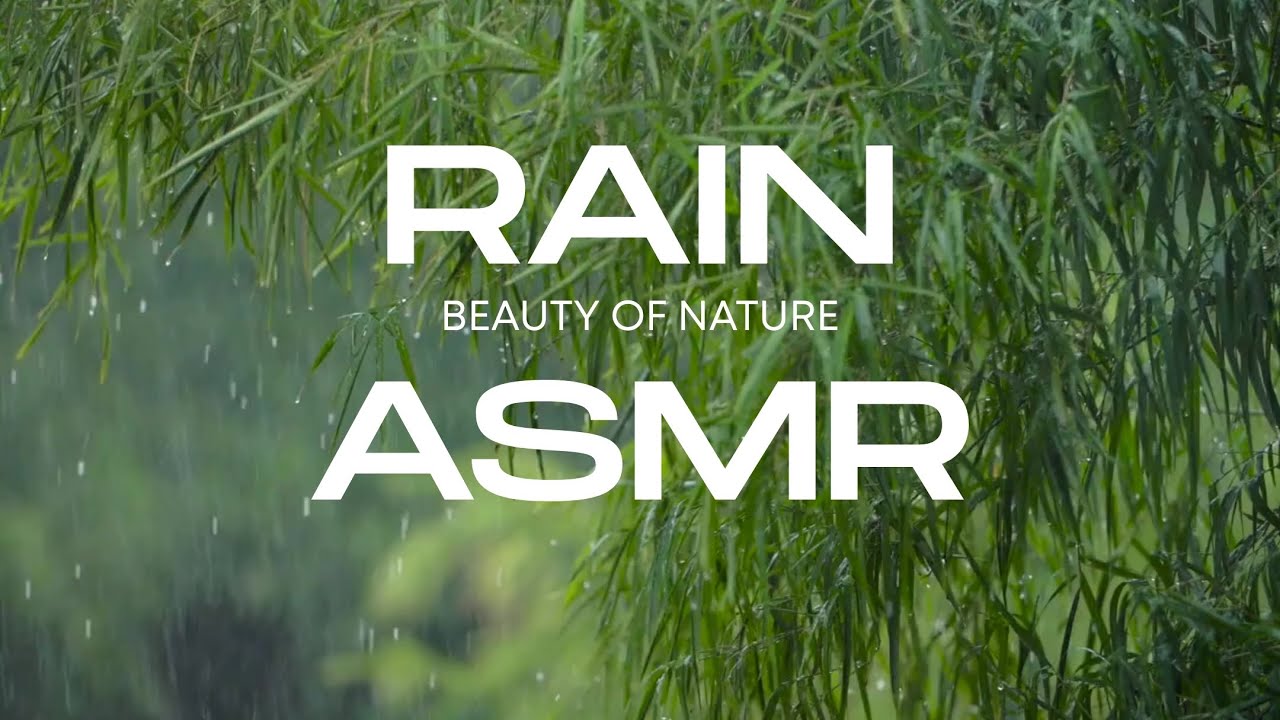 NATURE LOG #01 | Downpour in the Dawn [RAW ASMR] | JUST LET IT PLAY