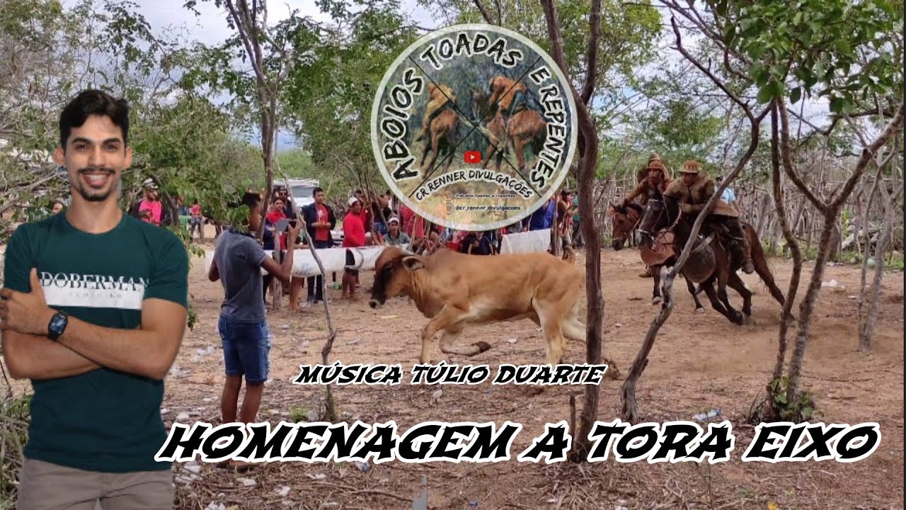 Homenagem a Tora Eixo / Cantor Túlio Duarte!!