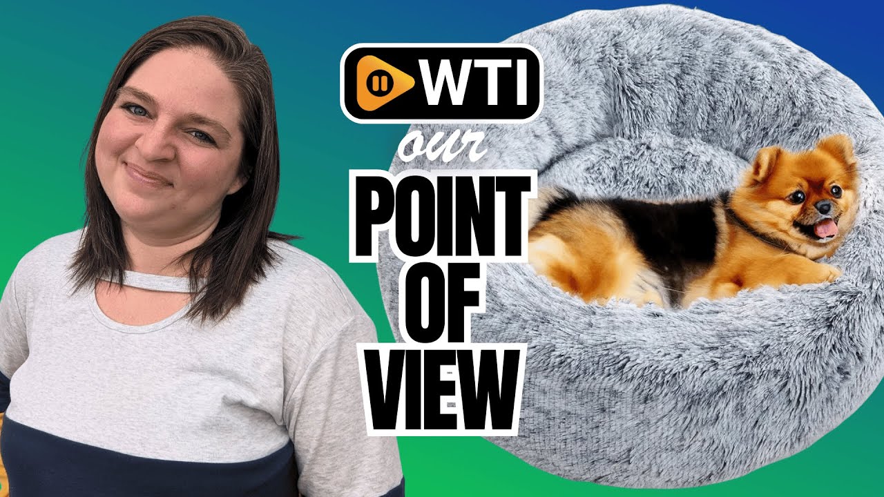 OlaPhum Calming Dog Bed for Small Dogs | POV | Would you buy it?
