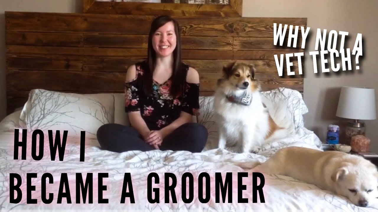 Why I Became A Pet Groomer Instead Of A Vet Tech! | Groomer Q & A