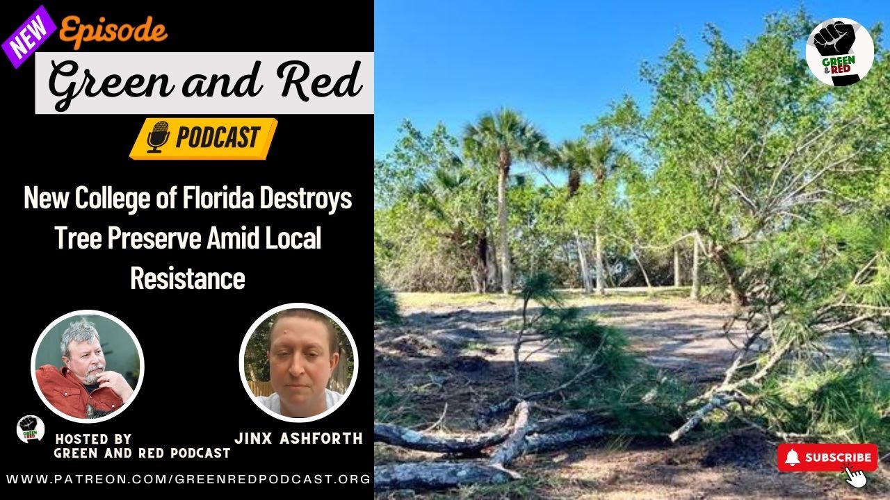 New College of Florida Destroys Tree Preserve Amid Local Resistance