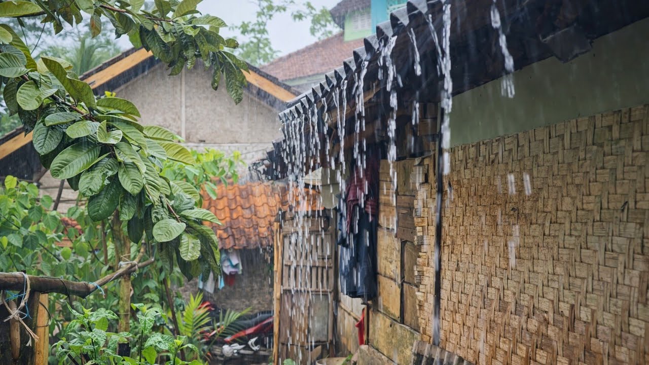 Heavy Rain on a Tin Roof in the Quiet Countryside | Natural Relaxing Rain Ambience