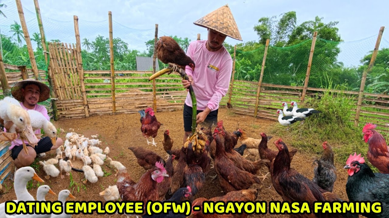Nalagay na ang Drop Wire mula sa Triangle House to - POSTE ganado kumain ang mga ALAGA 
