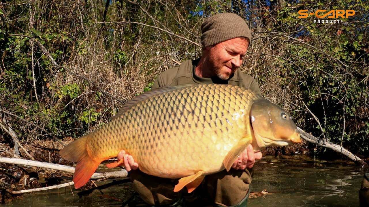 A szélsőségek hete