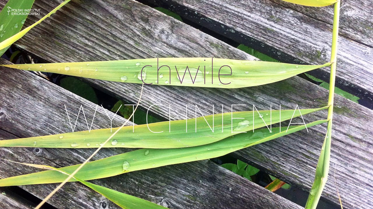 Chwile WYTCHNIENIA: Bajka o zającu i o strachu - Jolanta Berezowska