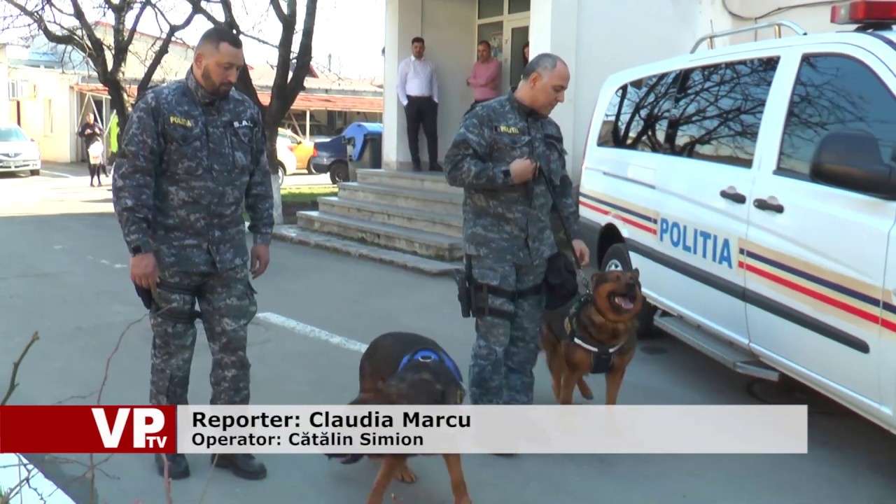 Cinci câini polițiști, scoși la vânzare din cauza performanțelor slabe