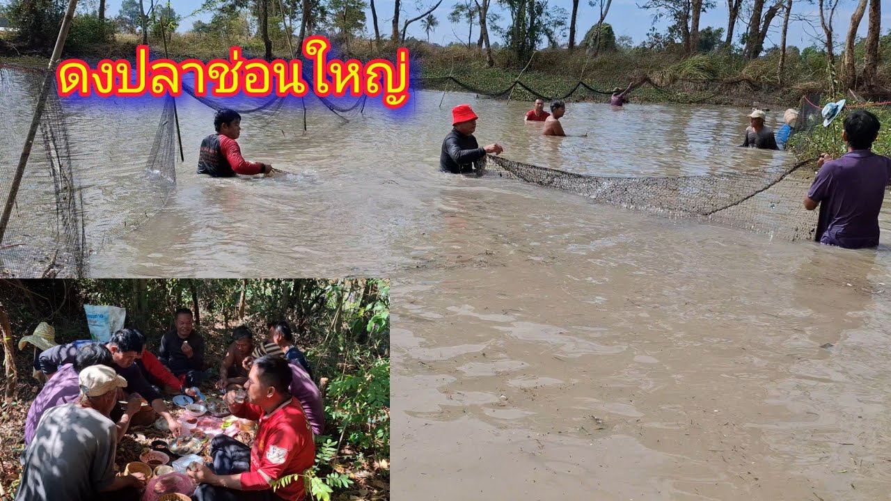 ท้าความหนาว ดงปลาช่อนใหญ่ หว่านแหหาปลา ต้มปลา กินข้าวป่าแซบๆ - ตกปลา หาอยู่หากิน