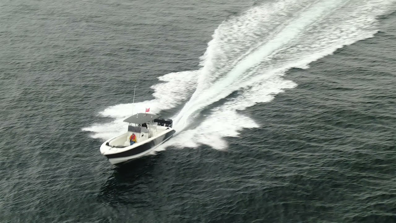 Breaking Point - Palmetto Custom 33