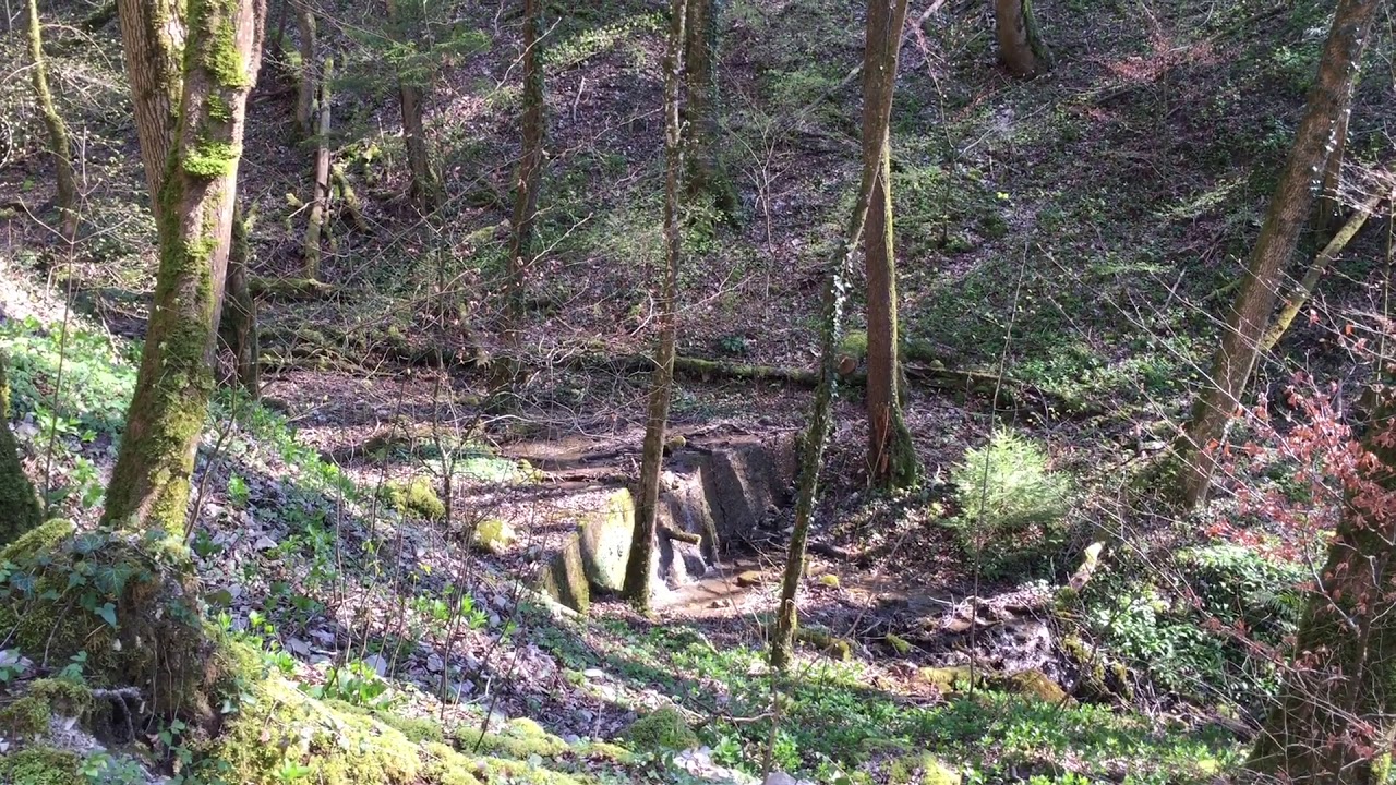 Vogelgezwitscher, Wasserrauschen, einfach geniessen