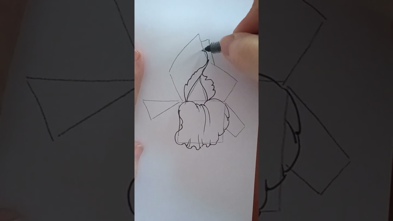Disegnare facilmente gli iris