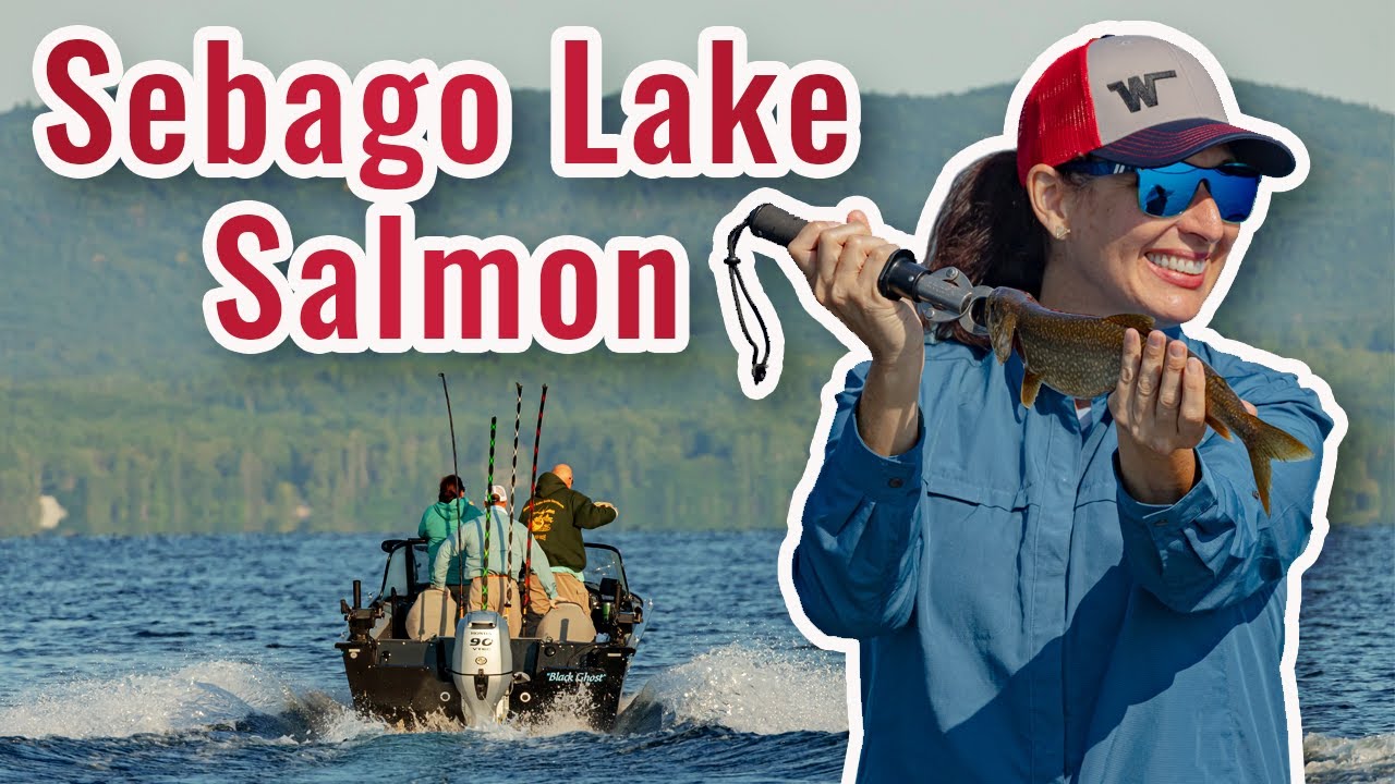 🎣 Master The Art Of Sebago Lake Salmon And Trout Fishing In Maine!
