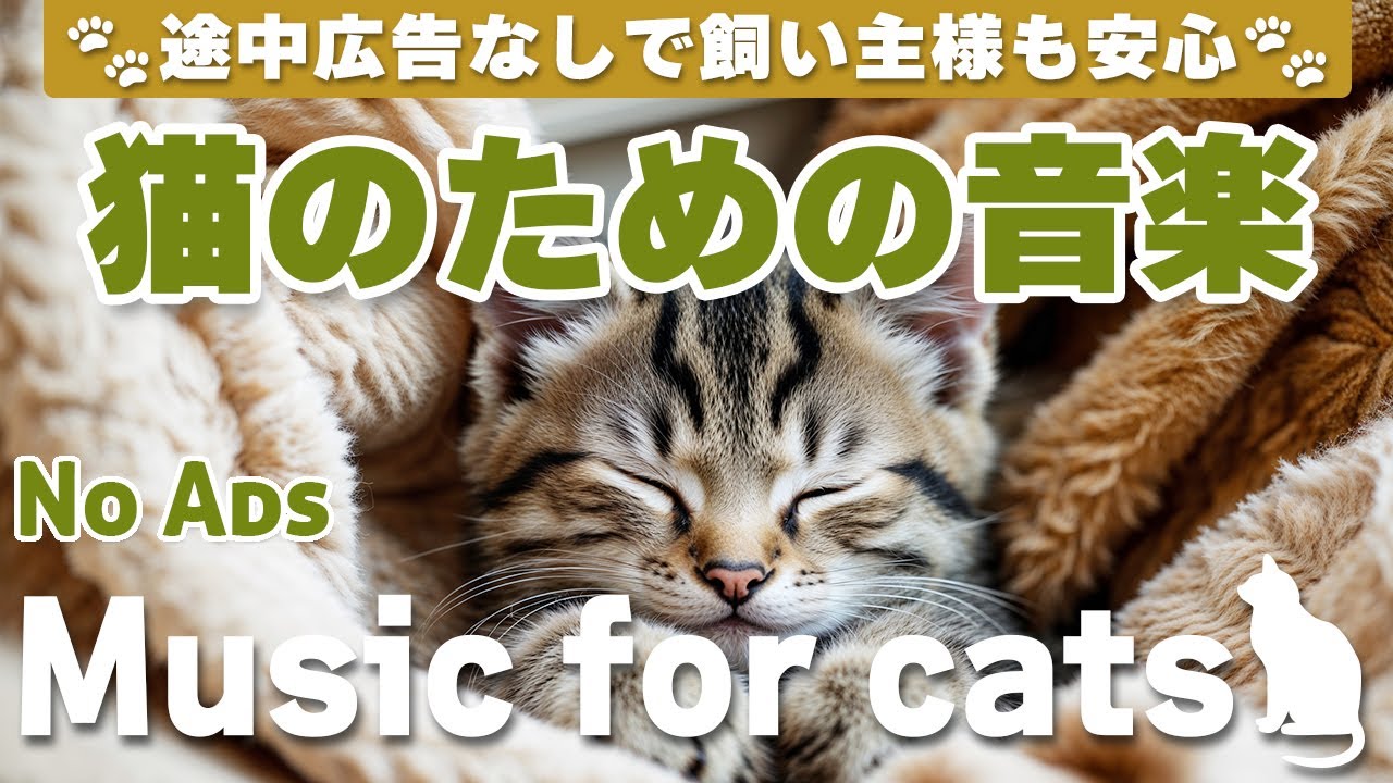 猫が落ち着く音楽｜留守番中も安心できるBGM（12時間・途中広告なし）Relaxing Music for Cats | No Ads | 12 Hours _vol.330