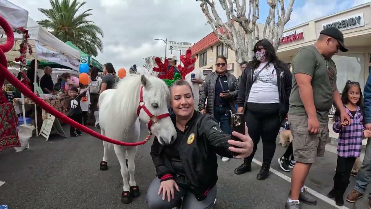 Lt. Rowdy Mini Horse Attending Granada Hills 17th Annual Street Fair 2022 (3 of 13)