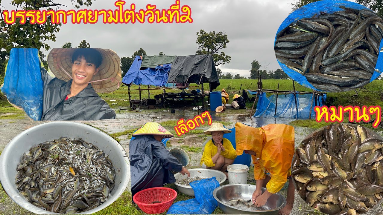 ยามโต่งรอบเช้า 🐟🐟ปลากำลังลงหลายเลือกปลาม่วนๆ