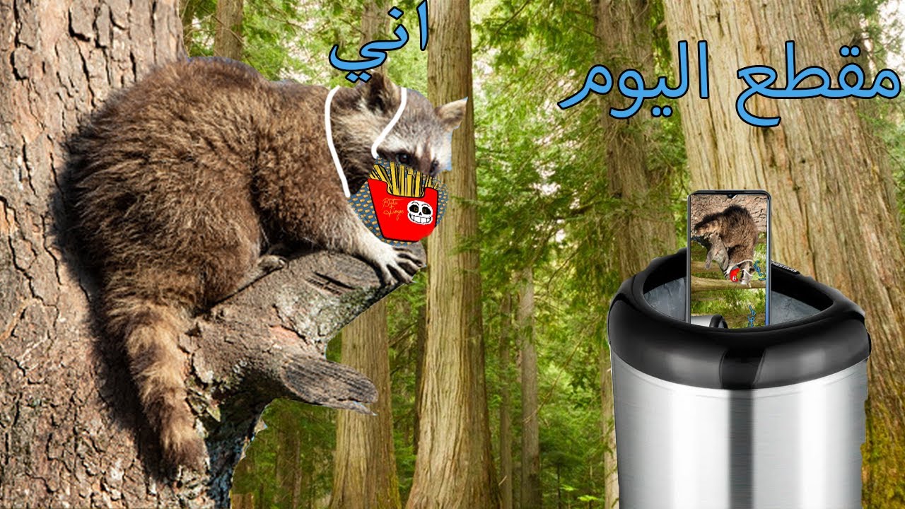 مقطع من الزبالة