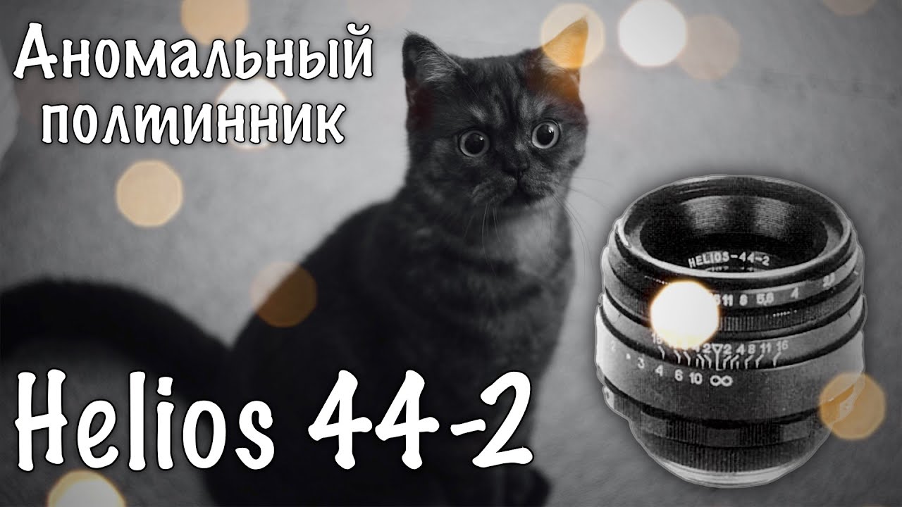 #034 📸 HELIOS 44-2 58 mm f/2 - АНОМАЛИЯ 🤯