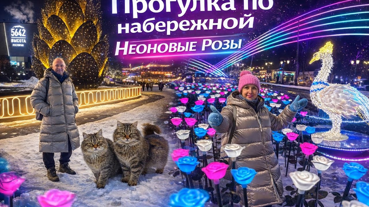 Прогулка по набережной неоновые огни