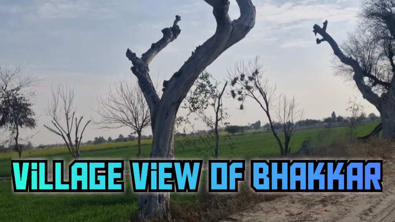Village view of bhakkar | THAL VIEW OF PUNJAB | village life of pakistan