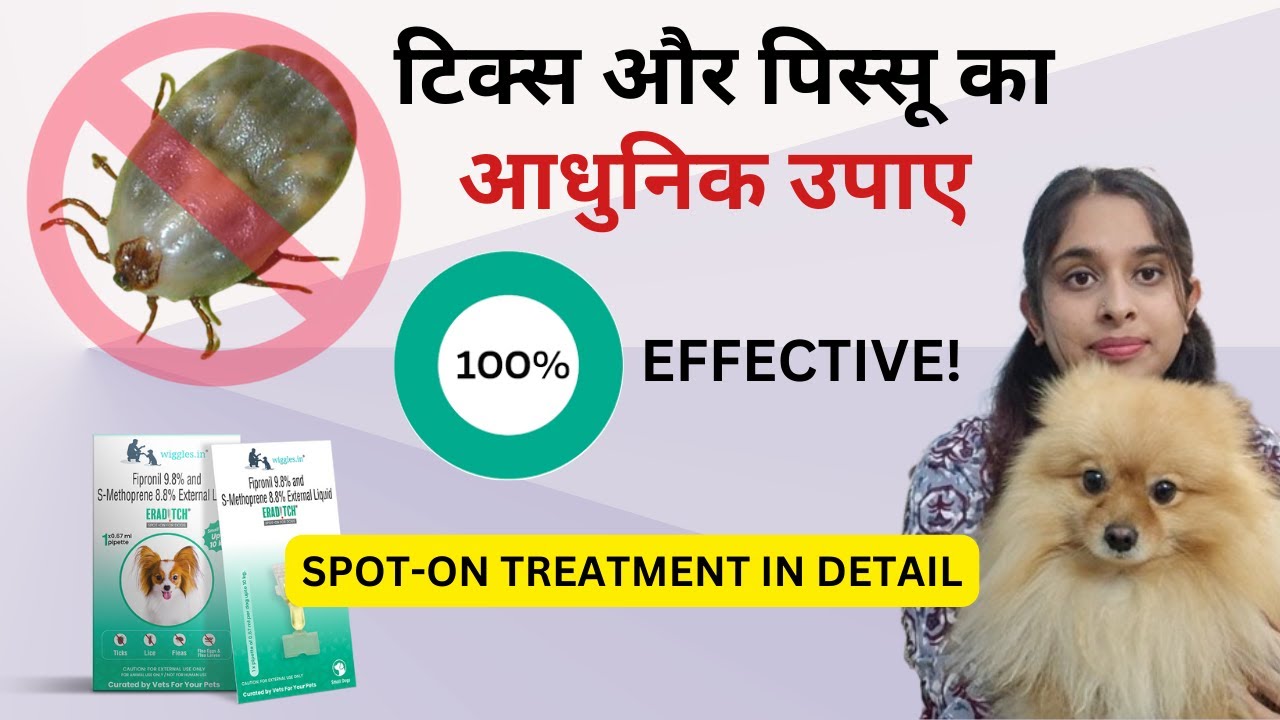 Anti-tick Spot-on treatment in dogs/Genuine information from Vet/ Ticks and fleas solution in pets