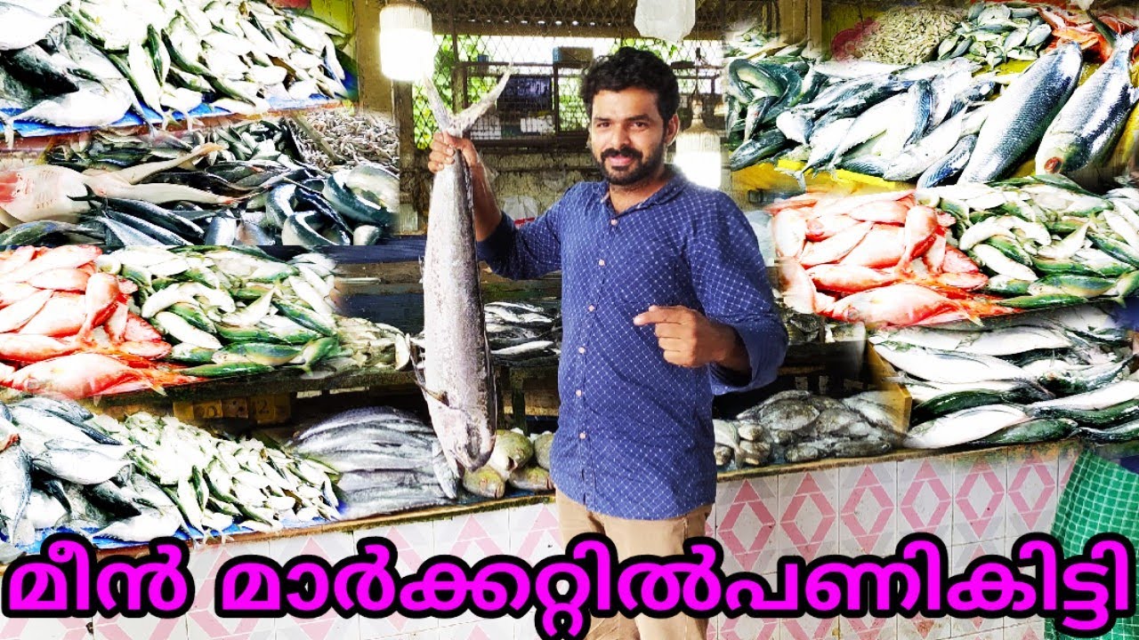 fresh fish market manjeri 🐠 fish market/ മഞ്ചേരിയിലെ ഫ്രഷ് മീൻ കിട്ടുന്ന അടിപൊളി മാർക്കറ്റ്