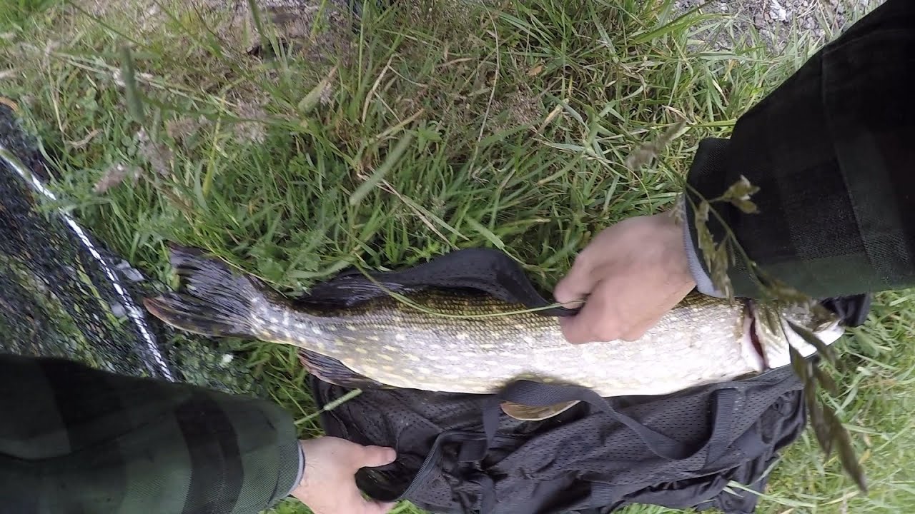 Big Scottish Pike Float Tube Fishing (Lure )