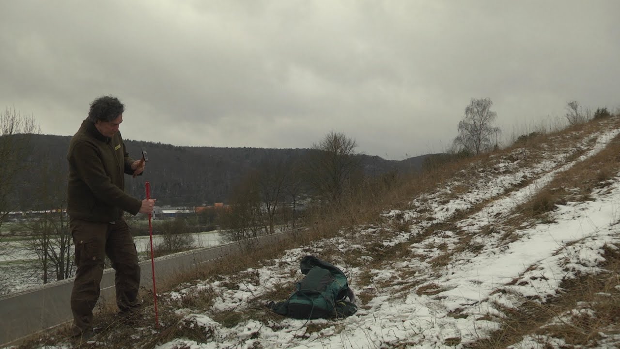 2022 WS  Unterwegs im Altmühltal- ein Tag mit einem Naturpark -Ranger