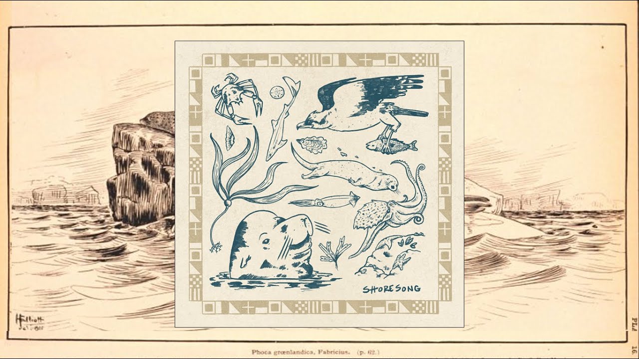 Sleepy Monk - Shoresong (2025)