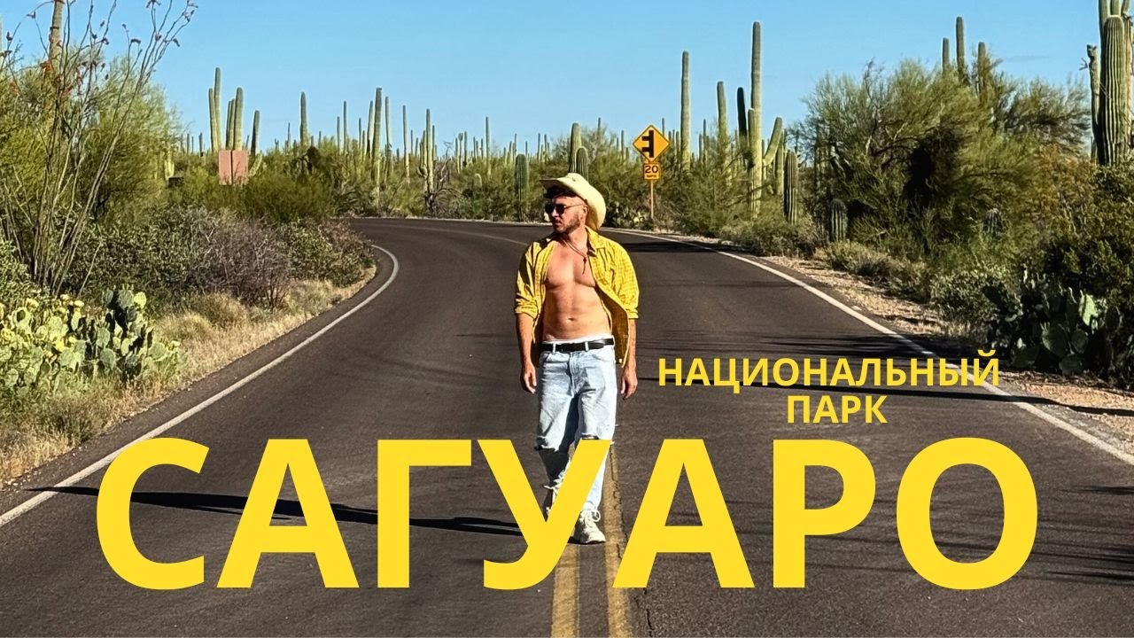 ОГРОМНЫЕ КАКТУСЫ АРИЗОНЫ