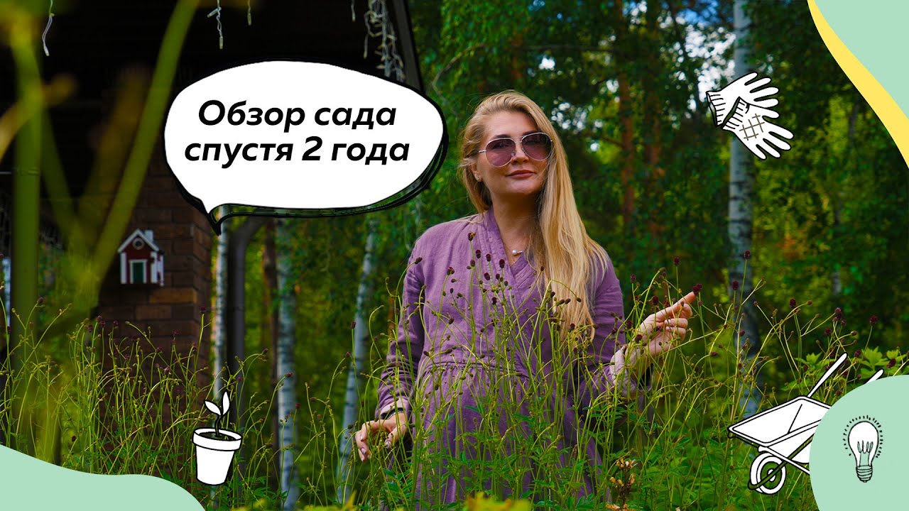 Обзор сада спустя 2 года | Ландшафтный дизайн 20 соток | Плодовый сад | Розы в саду