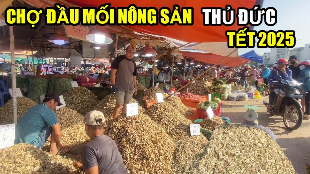 Củ kiệu , trái cây , rau củ quả chợ đầu mối nông sản Thủ Đức Saigon Tết 2025 chi tiết