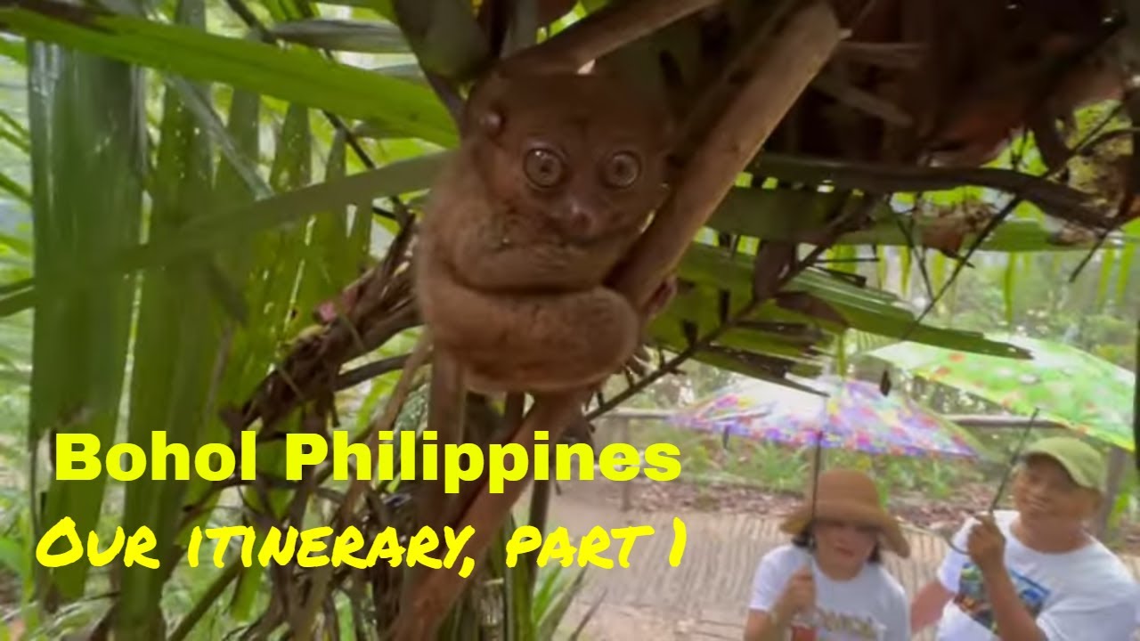 Philippines Travel - Bohol Itinerary Part 1 - Chocolate Hills, Tarsiers, Xzootic and more