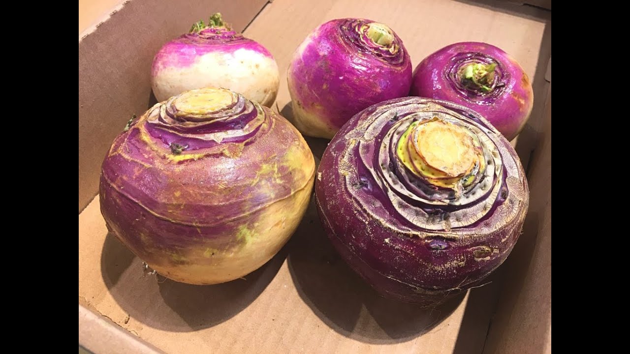 Turnip vs Rutabaga • Which is Which! Tips & Tricks 56