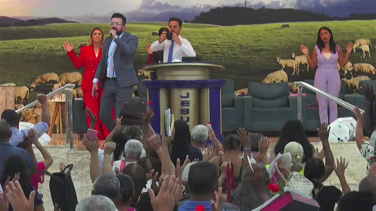 AO VIVO IMPD