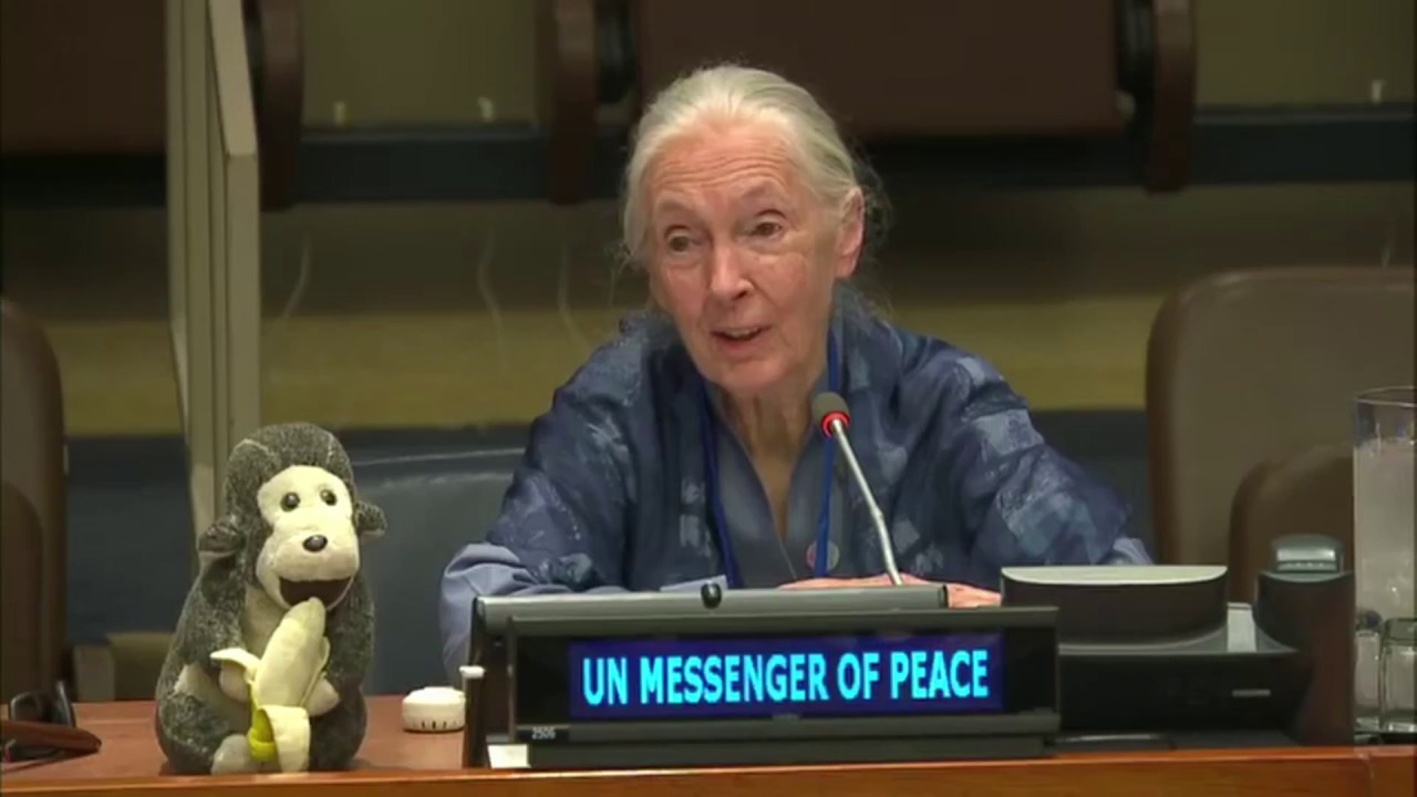 Frieden beginnt in UNS - #JaneGoodall