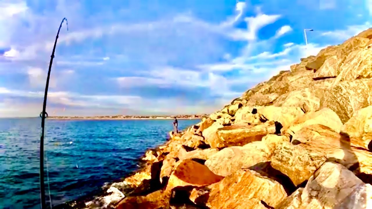 North Mole Fremantle Fishing is Full of Surprises