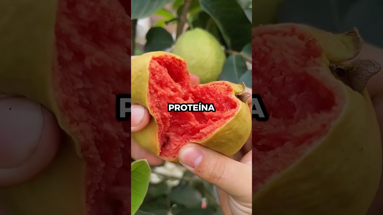 🌿 La &Uacute;ltima No Te La Esperas&hellip; #salud #curiosidades #alimentossanos #consejos #frutas