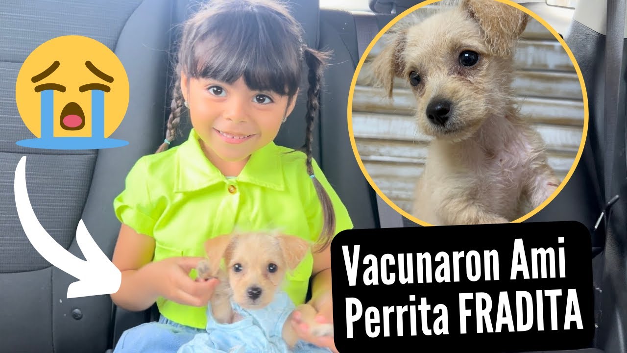 Mi Primera Vez Visitando Un VETERINARIO 🐶 | Vacunaron a mi perrita FRADITA 😭 | Kids Marie Show