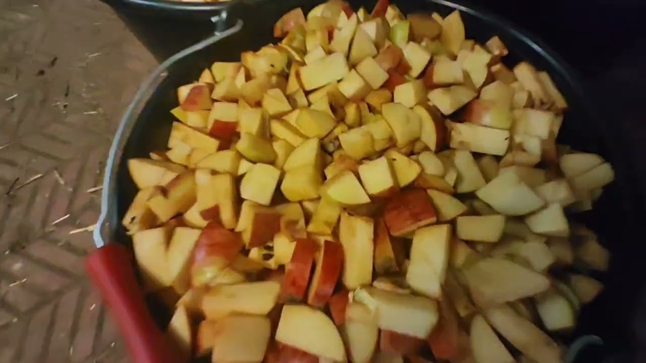 Jus de pomme fait maison, du ramassage à la stérilisation