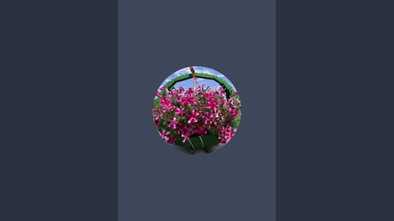 Allama Hamid Raza Chishti Mehfile Milaad 