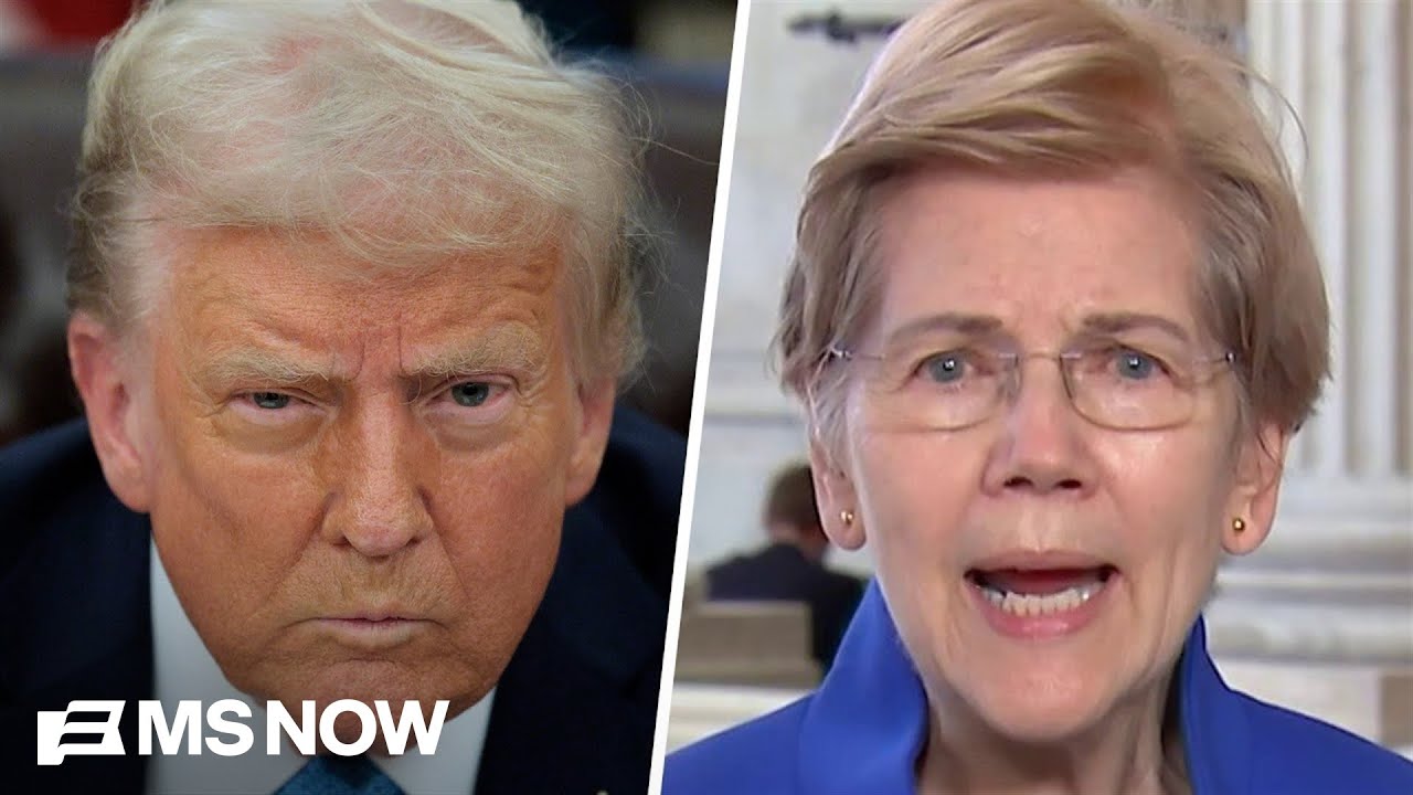 'People are SICK of the corruption!': Warren blasts Trump canceling plan to sign major housing bill