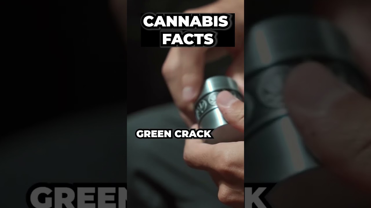 BEST CANNABIS STRAINS FOR DAYTIME USE