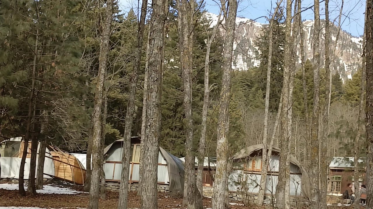 Sharan Forrest  Raw Video Trekking in Sharan Valley Manshi Top Sharan Forrest Pods #mountain