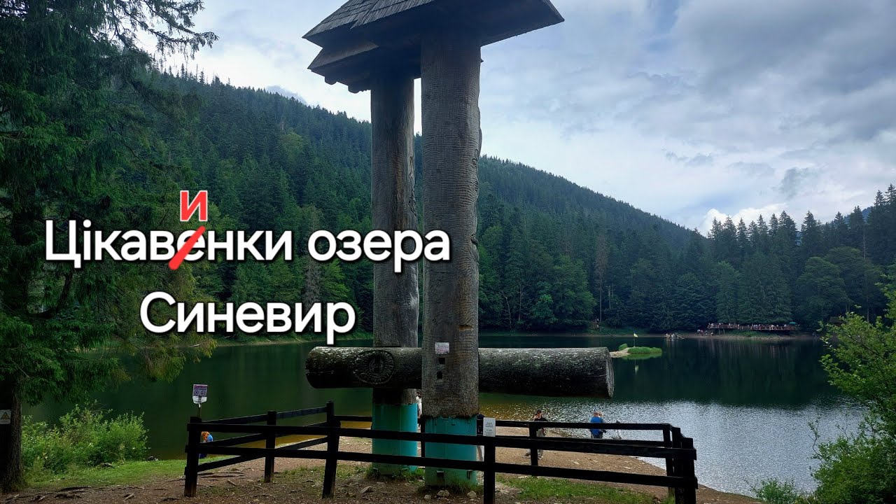 ДОРОГА на ОЗЕРО СИНЕВИР! Не лише ВЕДМЕДІ, а й ВЕРБЛЮДИ | Synevyr National Nature Park
