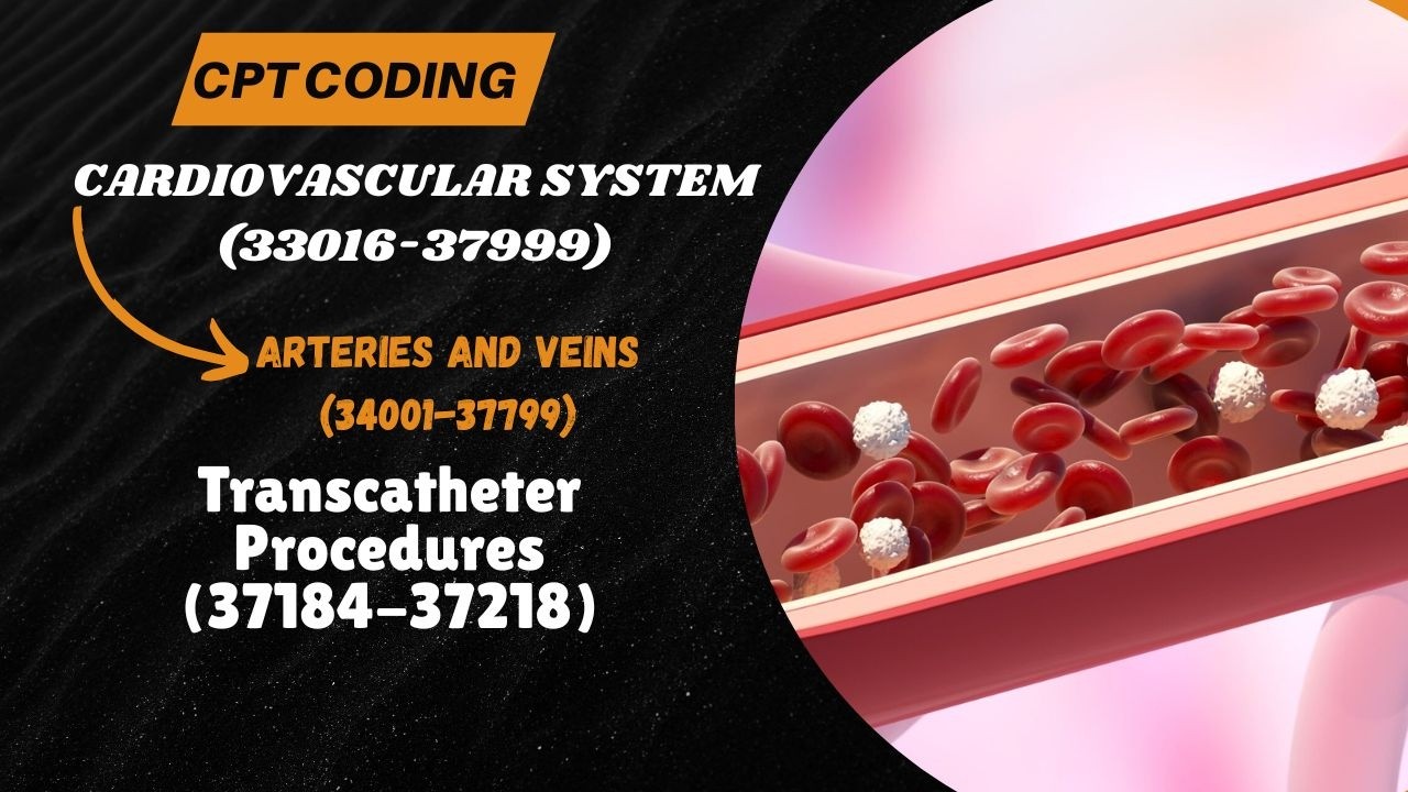 22. Arteries and Veins (34001-37799) I Transcatheter Procedures (37184-37218) I