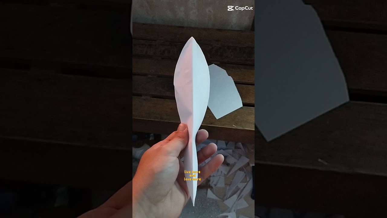 Making DIY WINGS from empty box