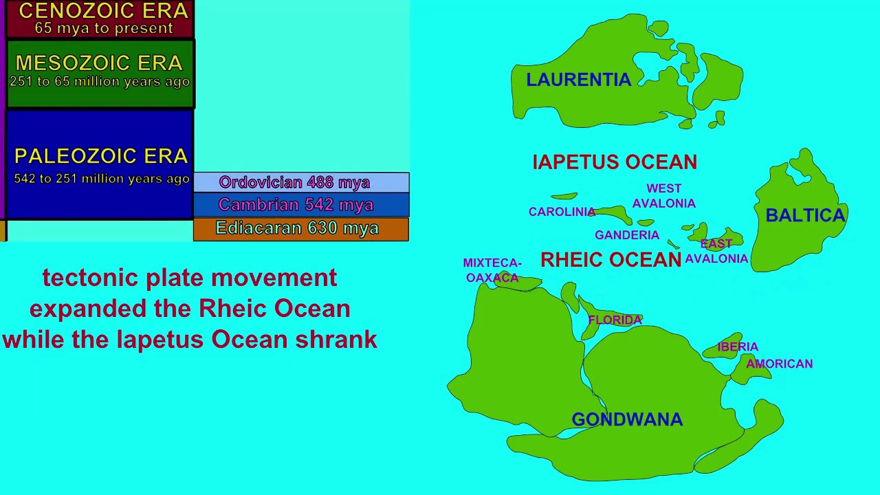 Laurentia's Early Paleozoic microcontinents