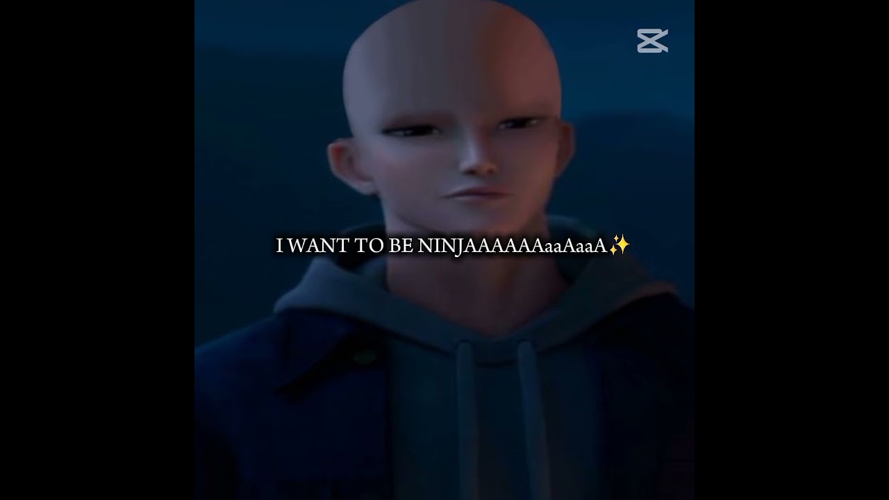 I want to be Ninja 🥷😔✨️ #kpopdemonhunters #memes #kpopedit #kpop #edit #funny #fypシ゚viral #fyp #jinu