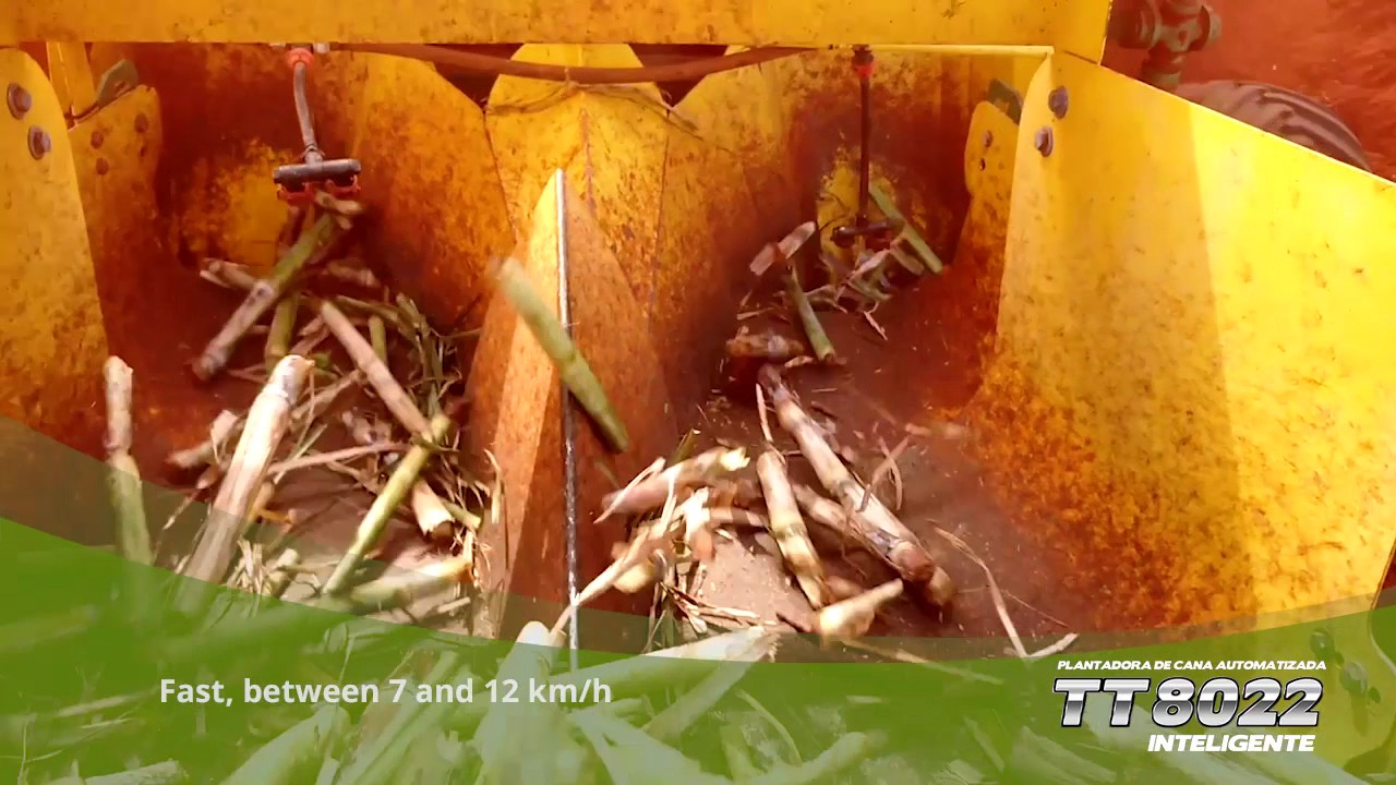 Sugar Cane Planter - Fully Automatic DRIVE LESS - DOBLE TT and TT do Brasil Ltda.